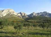 PARC ALPILLES
