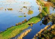 MARAIS DU VIGUEIRAT