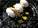 Meringue de Foie gras