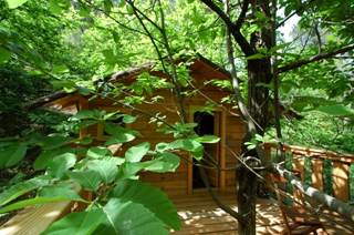 La Cabane de Peyrolles, cabane dans les arbres