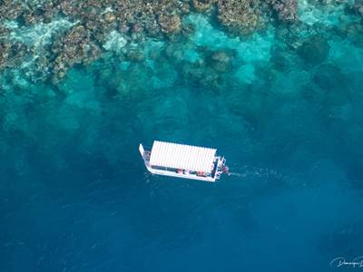 Ouest Corail - Bateau à fond de verre et randonnée palmée